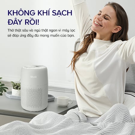 Máy Lọc Không Khí Levoit Core Mini Pro