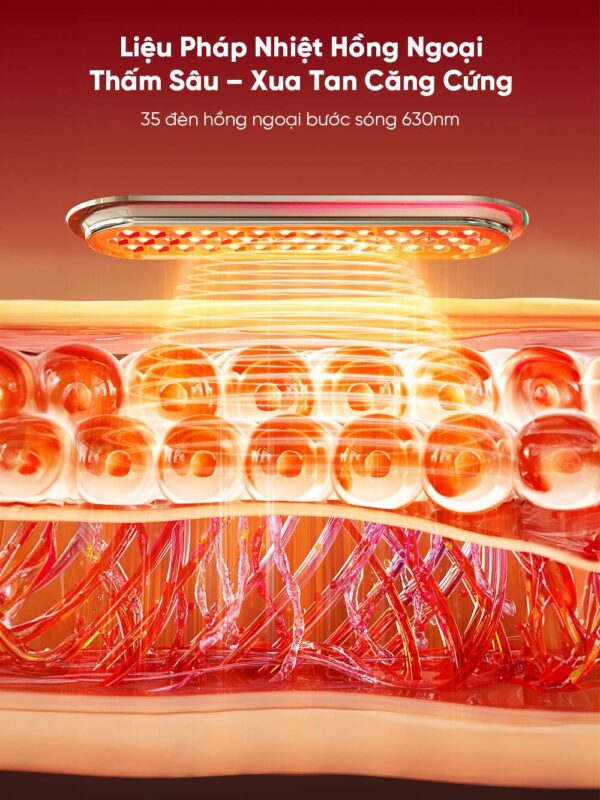 Đai Massage Chườm Nóng Bụng Và Thắt Lưng Breo Y2