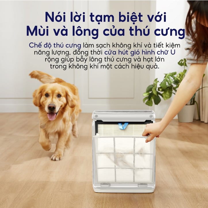 Nói tạm biệt với mùi của thú cưng