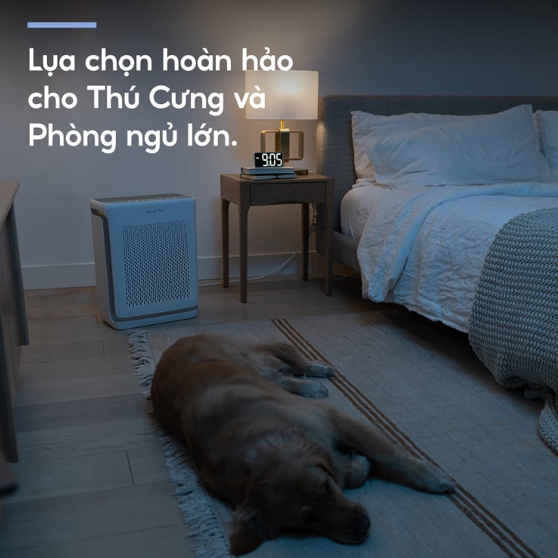 Lựa chọn hoàn hảo cho thú cưng