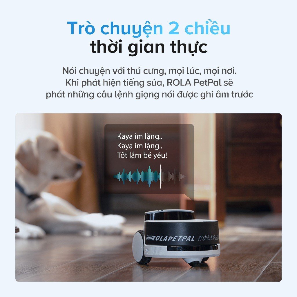 Trò chuyện 2 chiều thời gian thực