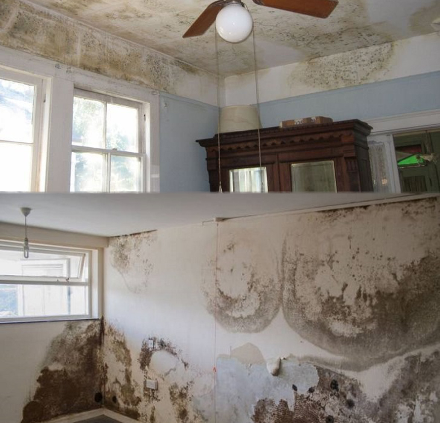 Cách xử lý tường nhà bị ẩm mốc