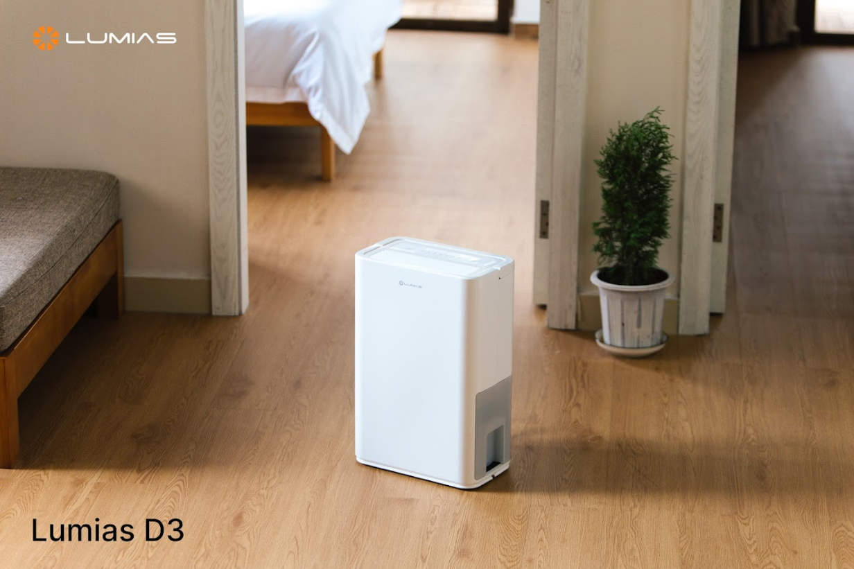 cách xử lý sàn gỗ bị ẩm mốc hiệu quả