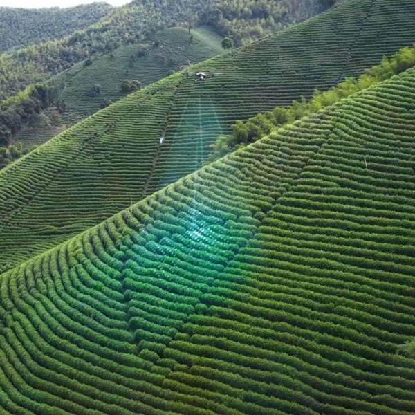 DJI Agras T25P